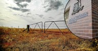 Mosman man's farm dream derailed by COVID hurdles, court hears
