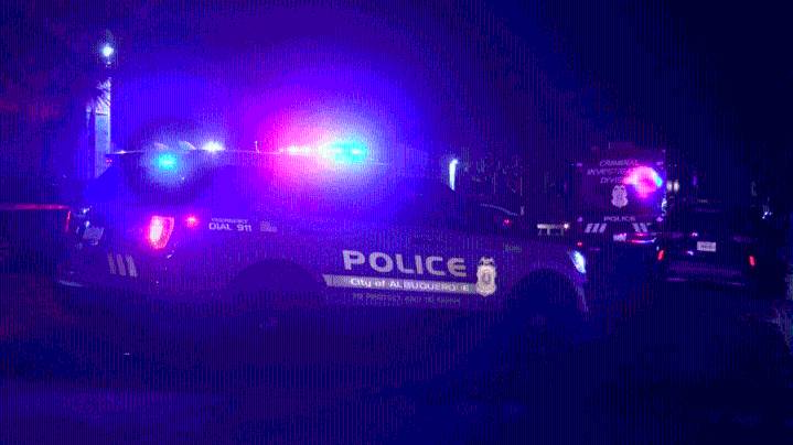 APD strengthens domestic violence response with specialized team of 30 officers