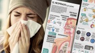 España, campaña contra la gripe: cobertura, fechas y grupos prioritarios