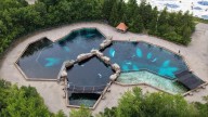 Federal government denies Marineland request to export belugas