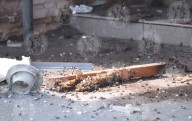 Empleada de Ecología, mujer atacada por abejas