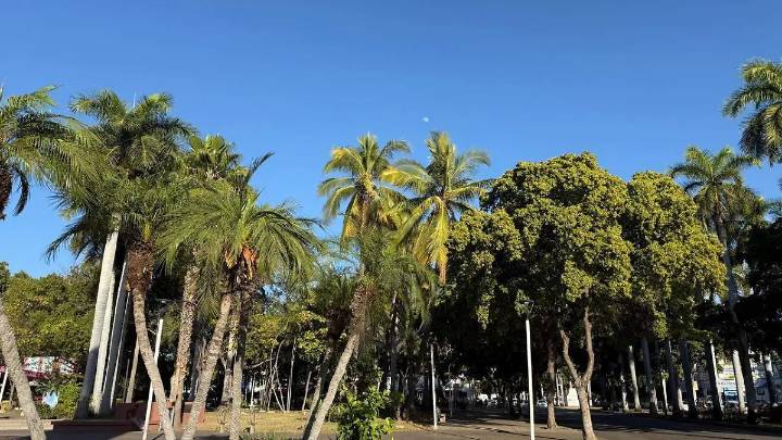 Sol intenso y calor extremo dominarán la jornada de este sábado