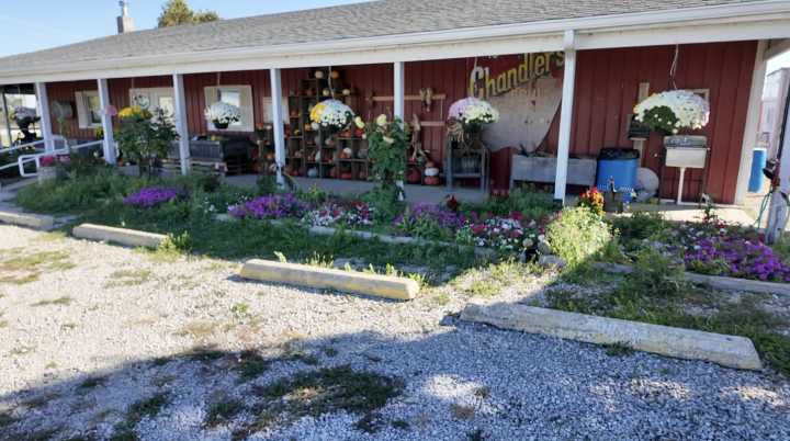 How a rainy spring shaped Indiana’s 2025 pumpkin crop