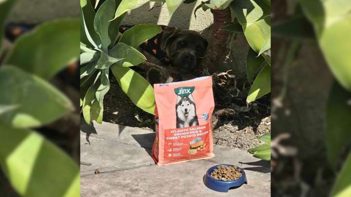 California Rescuer Hears Cries Coming From The Bushes, Then Makes A Heartbreaking Discovery