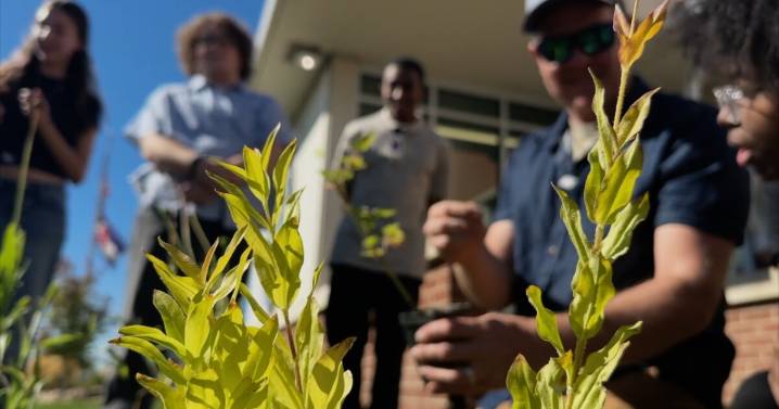 Denver students learn drought-resistant landscaping to fight urban heat