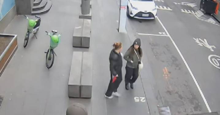 Melbourne news: Family of Melbourne CBD random stabbing victim speaks out