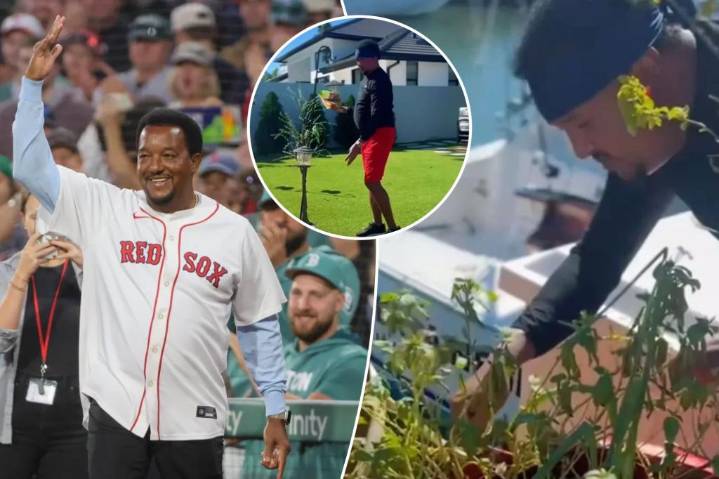 Exclusive | Pedro Martínez's 'weird' hobby keeps him relaxed — it's not watching the Yankees lose