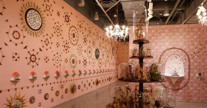 Insects morph into art in Zuckerman’s ‘Lady Bug’ exhibit