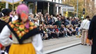 El paseo Independencia no se cerrará al tráfico durante las fiestas: estos son los únicos días en los que se cortará