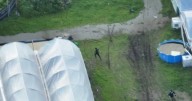 Drug crop worth $15m found in gardening igloos