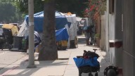 South LA homeless encampment continues to resurface, even after 20 cleanups