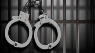 Indian National Arrested For Allegedly Stabbing Two Teenagers On Lufthansa Flight From Chicago To Germany