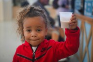 The 2025 NY State Fair by the numbers: Newborn cows, cups of milk and tons of doughnuts