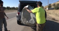 Meet the man who salvages roadkill off of busy Highway 55