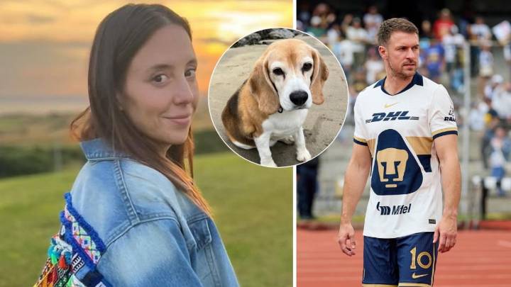 ¿Qué tiene que ver Sofía Niño de Rivera con la desaparición de la perrita de Aarón Ramsey?, esto se sabe