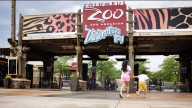 Columbus Zoo offers free admission, parking to federal employees amid government shutdown