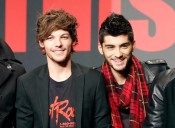 Two former One Direction members reunite for Netflix docuseries: reports