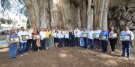 Loma Bonita y Mitla, con árboles notables