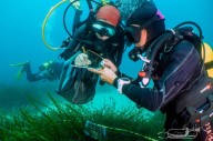 Avances científicos impulsan la conservación marina.