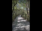 Nature walk