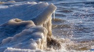 Freeze warning issued for Rochester region. See how low temperatures will drop