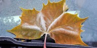 Here’s when to expect the first freeze of the season