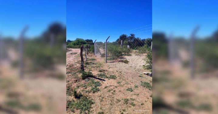Acusa a San Luis Agua de usurparle un campo que está en su familia hace 120 años