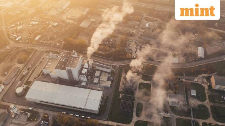 Trading towards net zero: India preps carbon market portal