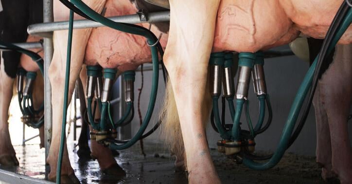 Prepare Now for Lower Milk Prices