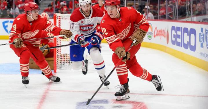 Red Wings feel time in minor leagues will benefit Michael Brandsegg