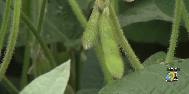 Iowa Soybean Association applauds US