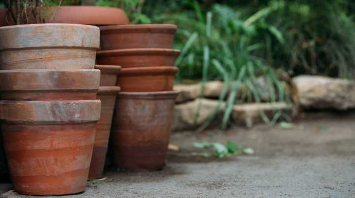 Save Your Planters By Avoiding This Gardening Mistake Before The First Freeze