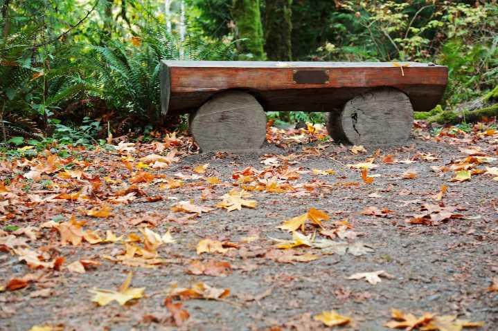 Portland sees a damp Monday before most of week turns dry, sunny; high 61