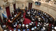 Nuevo revés para el Gobierno: el Senado rechazó los vetos de Javier Milei al financiamiento del Garrahan y las universidades