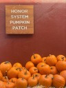 Westside Pumpkin Patches Offer Festive Family Fun Ahead of Halloween