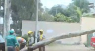 Árbol cae y destroza parte de vivienda que está al lado de casa de congresista María Acuña últimas