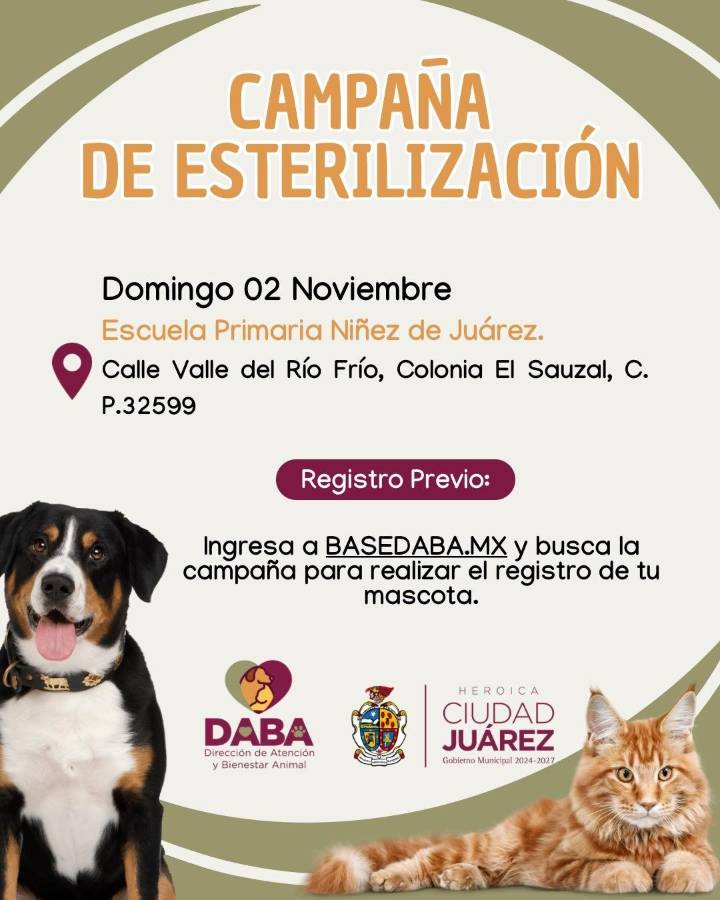 Esterilizará DABA mascotas el próximo domingo