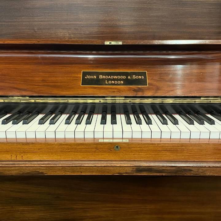 A brand new key - Pianodrome finds harmony in Bruntsfield