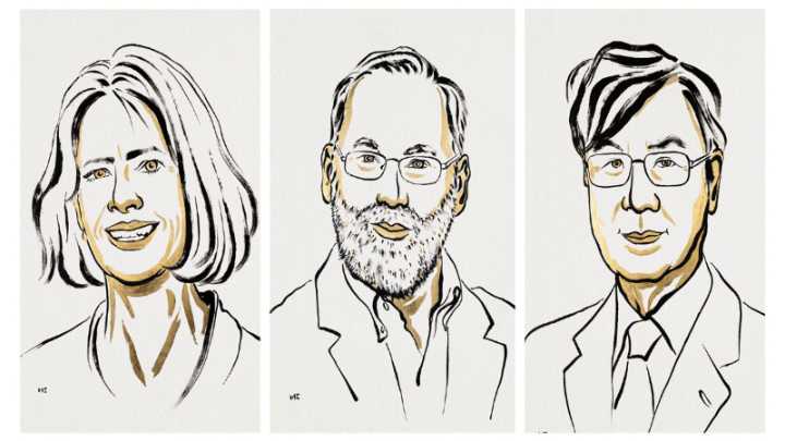 Nobel Prize 2025 awarded to US and Japanese scientists for immune tolerance research