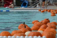 Pumpkins set to make another Splash in Surprise