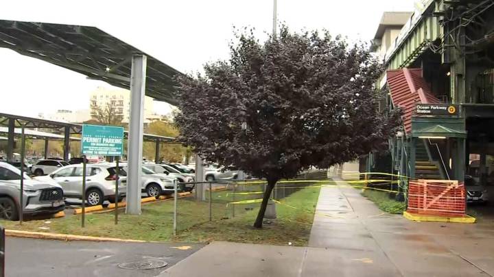 Solar panel falls killing woman during nor'easter, NYPD says
