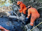 Restablecen el suministro de agua en Tuxpan después del derrame en el río Pantepec