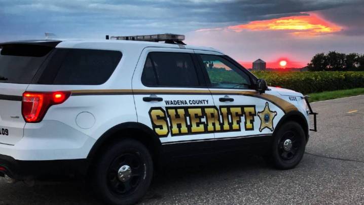 Tree Service Worker Killed by Falling Tree