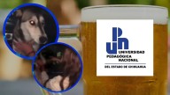 Expulsan a alumna de la UPN Chihuahua tras ser exhibida en video maltratando y emborrachando a una perrita callejera