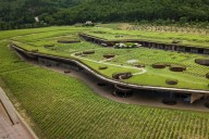 Winemakers in Chianti Classico continue to impress with great value red wines