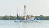 Buscan embarcación pesquera desaparecida tras zarpar de La Pesca; dos tripulantes a bordo