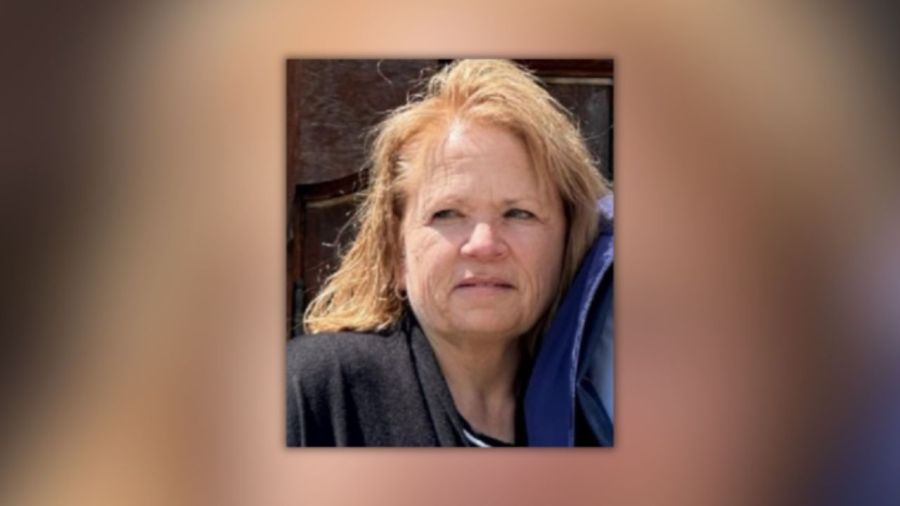 Search for missing Mansfield woman continues at Natchaug State Forest