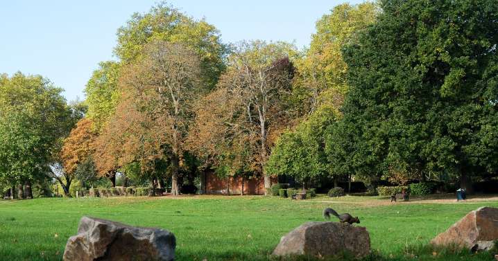 Sunny weather and 20C temperatures expected in London after Storm Amy batters UK