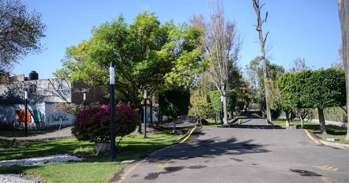 Ambientalistas piden transparencia sobre impacto ambiental del tren en el Parque Alcanfores