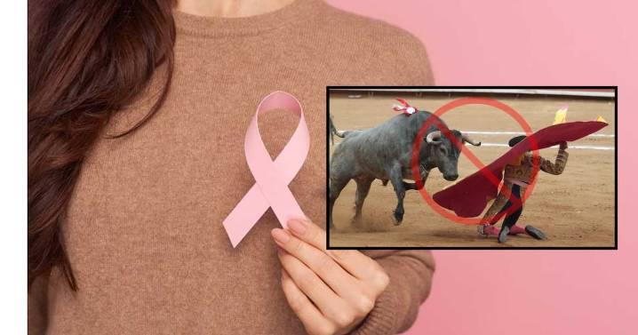Fundación dedicada a la prevención del cáncer de mama rechazó recibir donativos provenientes de la corrida de toros por la reapertura de la Plaza Monumental de Mérida, argumentando respeto a su causa